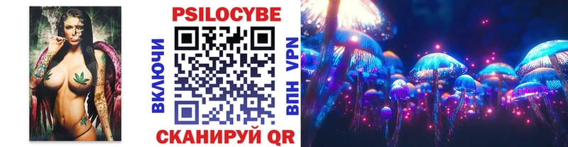 Купить где  Высоцк  Галлюциногенные грибы Magic Shrooms 